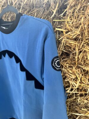 Sudadera azulina